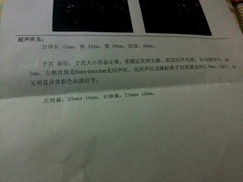journal_insert_pic_352191101