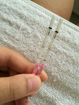 journal_insert_pic_352022486