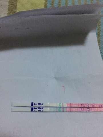 journal_insert_pic_352884428