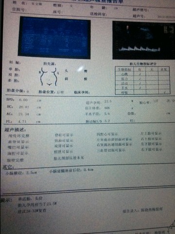 journal_insert_pic_353151265