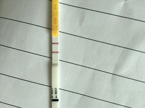 journal_insert_pic_354697098