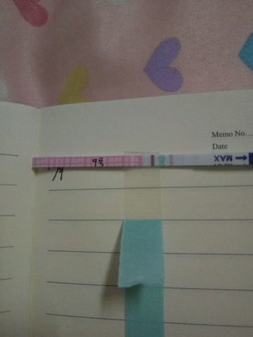 journal_insert_pic_357183067