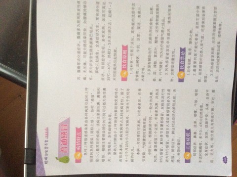 journal_insert_pic_357548995