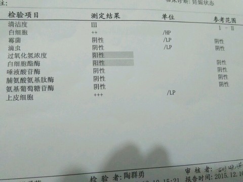 journal_insert_pic_358928419