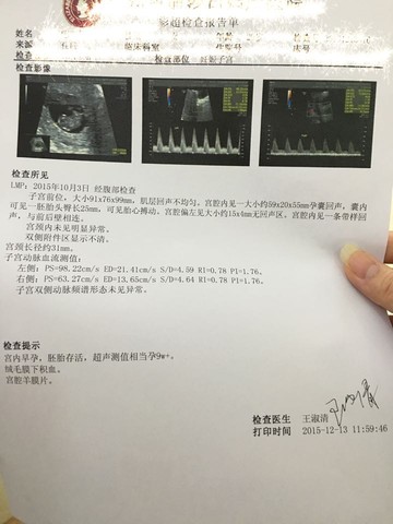 journal_insert_pic_359434438