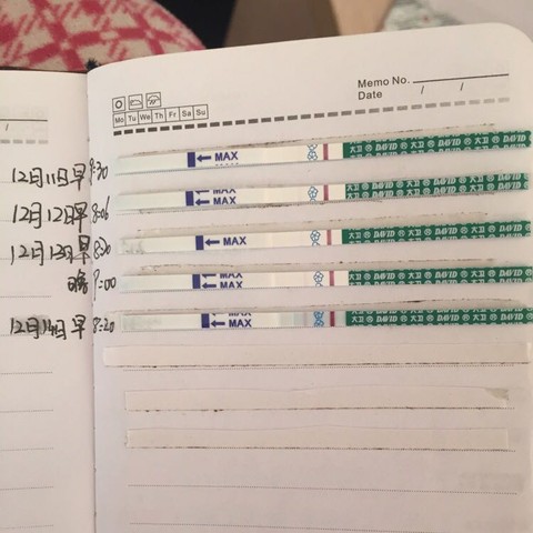 journal_insert_pic_360049800