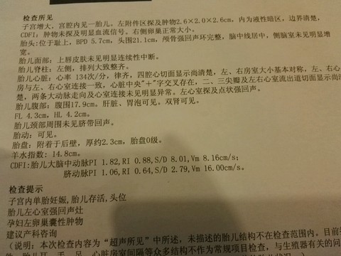 journal_insert_pic_360147783