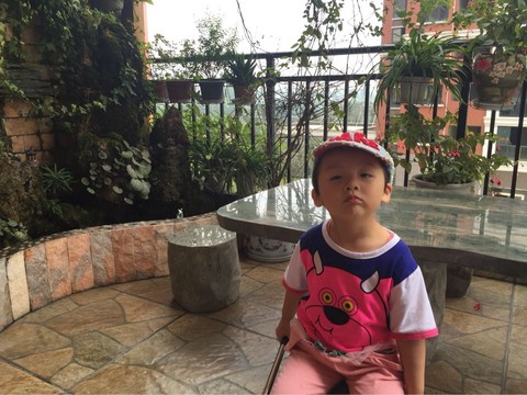 journal_insert_pic_361886433