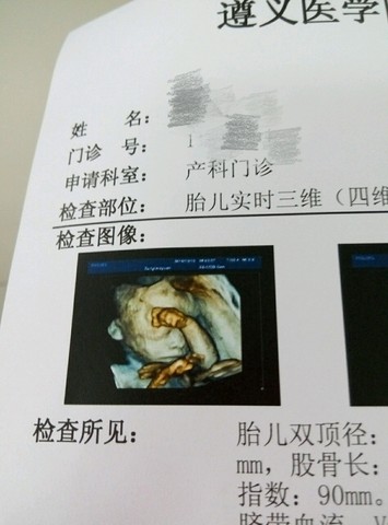 journal_insert_pic_363768719