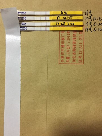journal_insert_pic_364068007