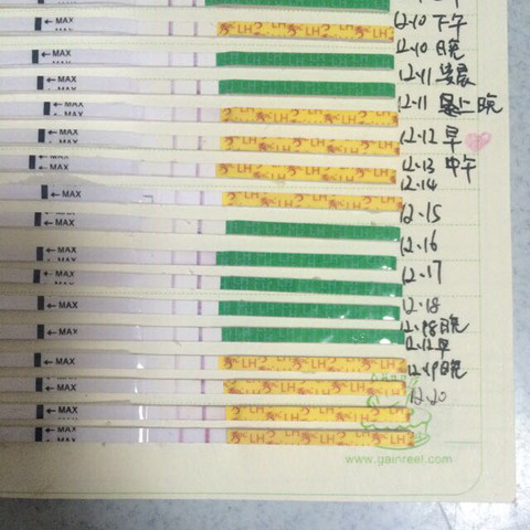 journal_insert_pic_366156075