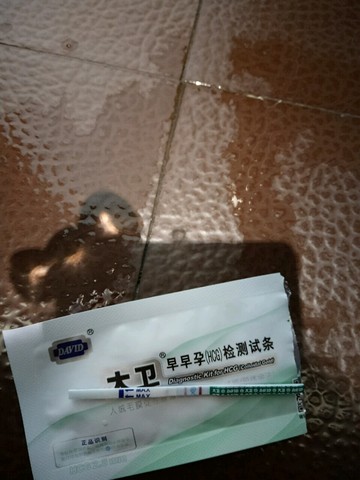 journal_insert_pic_368161060