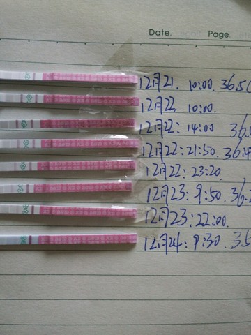journal_insert_pic_369249423
