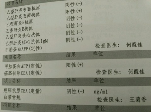 journal_insert_pic_370396332