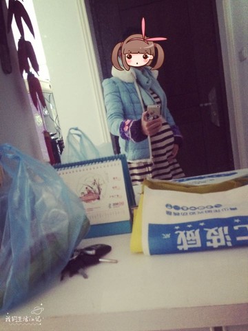 journal_insert_pic_371186901