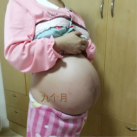 journal_insert_pic_371187306