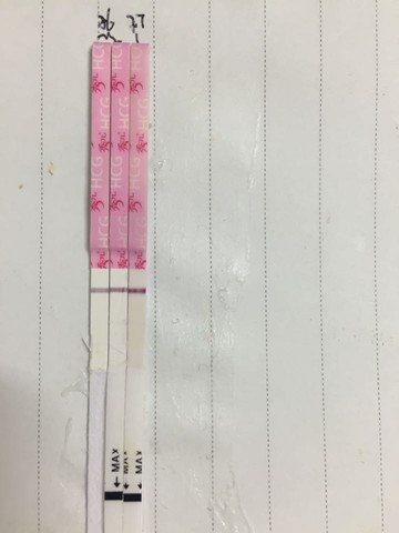 journal_insert_pic_372094095
