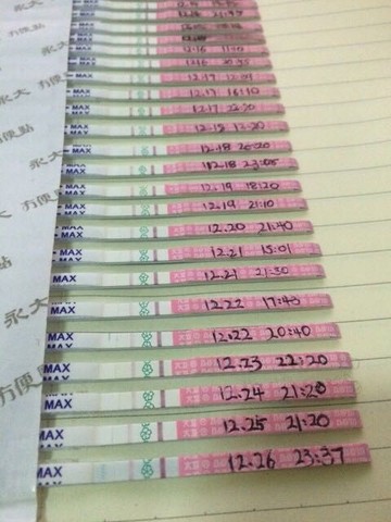 journal_insert_pic_372187836