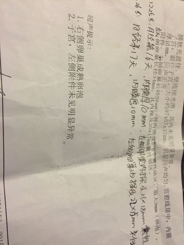 journal_insert_pic_372147841