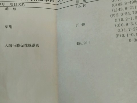 journal_insert_pic_373404717