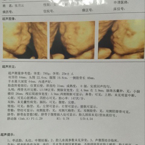 journal_insert_pic_374609151