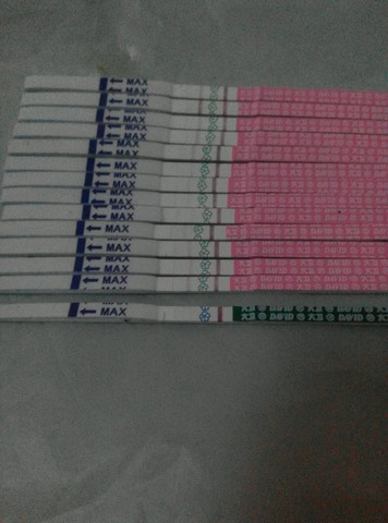journal_insert_pic_374534752