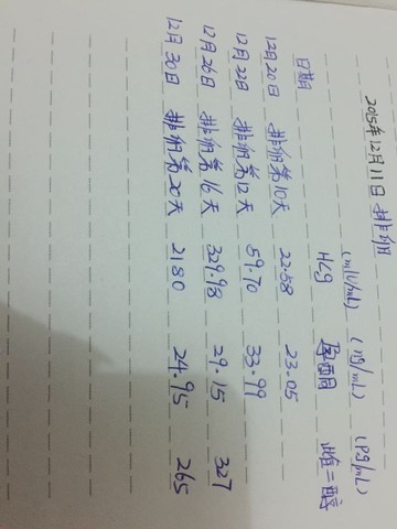 journal_insert_pic_375539398