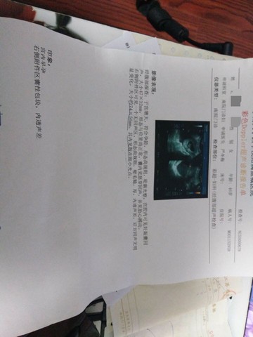 journal_insert_pic_376010920