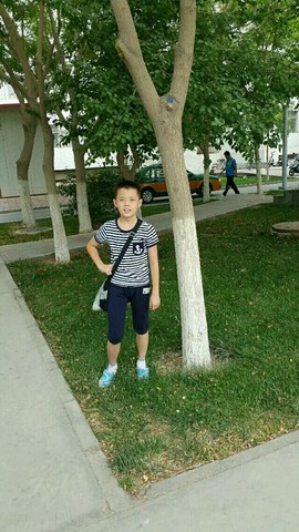 journal_insert_pic_380077068