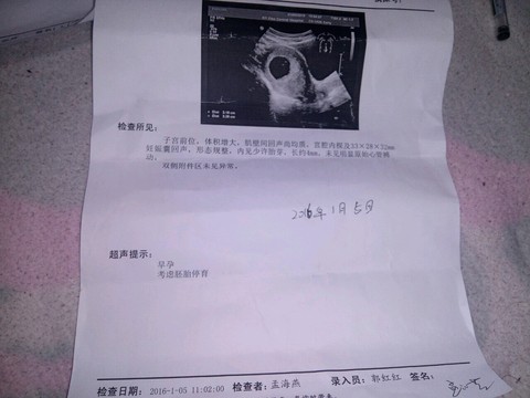 journal_insert_pic_381022605