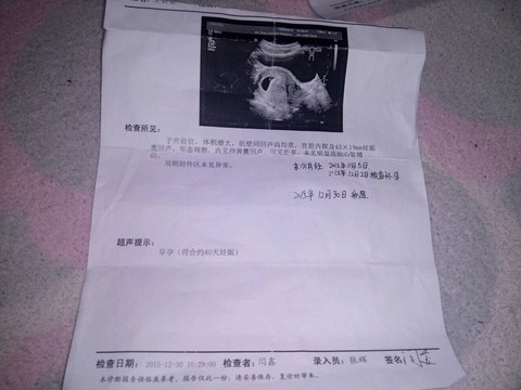 journal_insert_pic_381022241