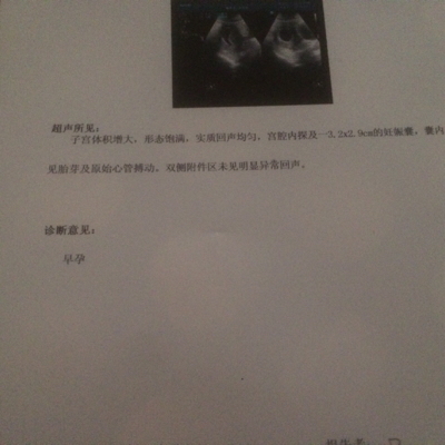 journal_insert_pic_381731968
