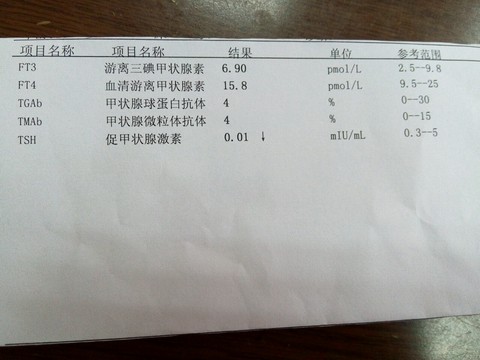 journal_insert_pic_381505223
