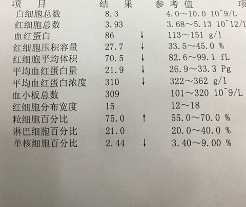 journal_insert_pic_382496844