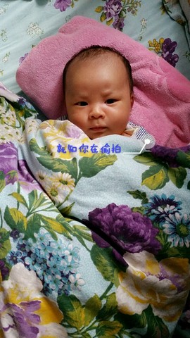 journal_insert_pic_383904572