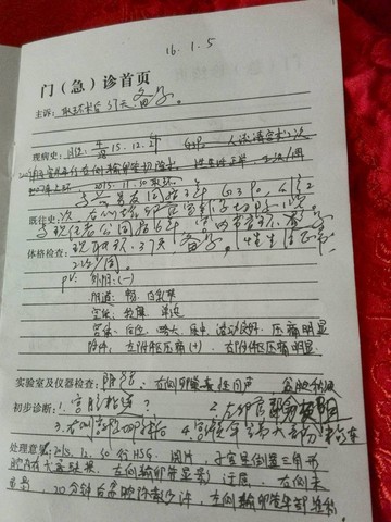 journal_insert_pic_384174969