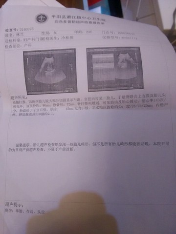 journal_insert_pic_384289704