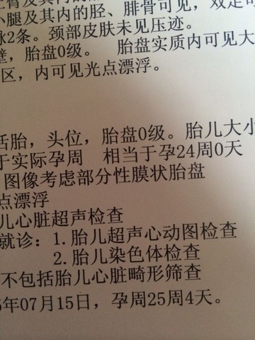 journal_insert_pic_385578431