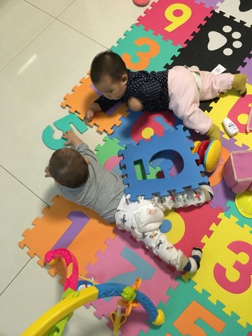 journal_insert_pic_387241023