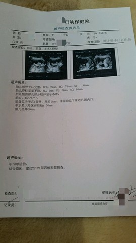 journal_insert_pic_387855890