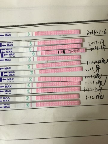 journal_insert_pic_387711913