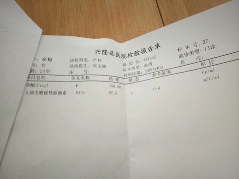journal_insert_pic_388536588