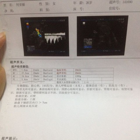 journal_insert_pic_388846914