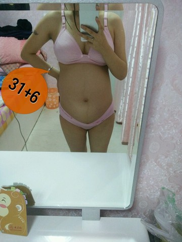 journal_insert_pic_388752433