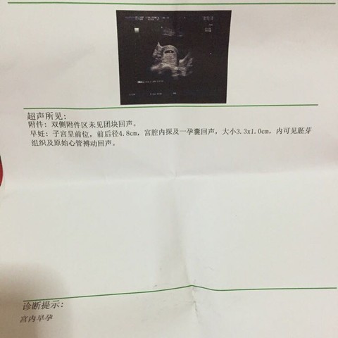 journal_insert_pic_388270666