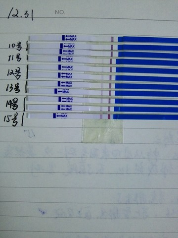 journal_insert_pic_388310728