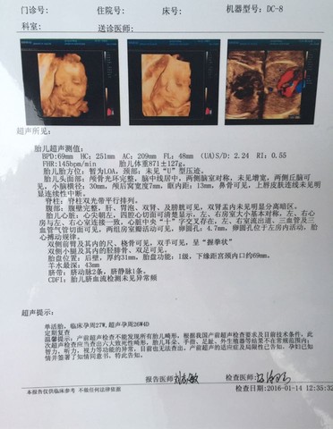 journal_insert_pic_389168804