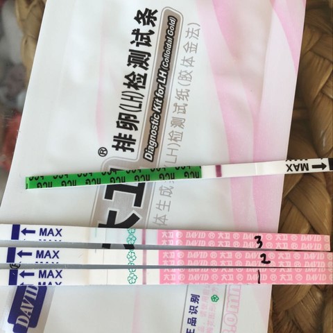 journal_insert_pic_389756219