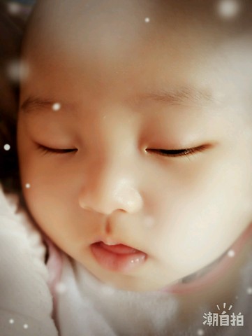 journal_insert_pic_389725432