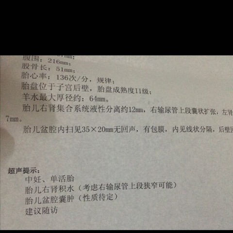 journal_insert_pic_391043759